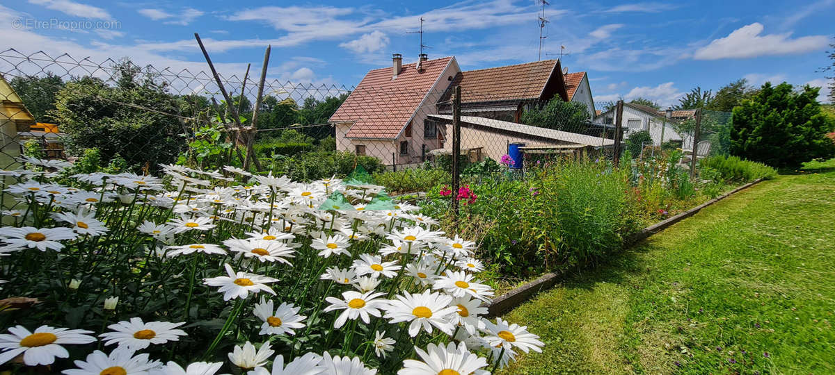 Maison à OBERDORF