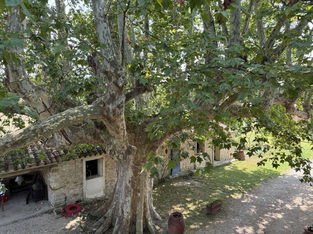 Maison à PERNES-LES-FONTAINES