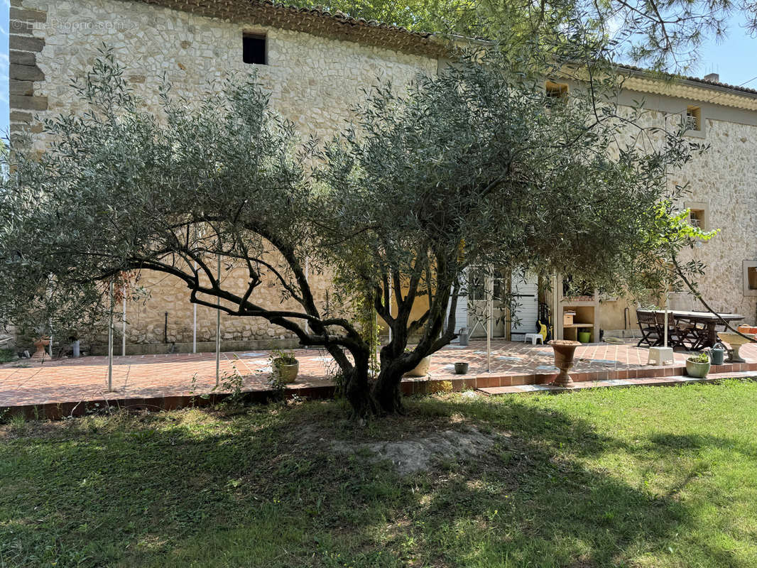 Maison à PERNES-LES-FONTAINES