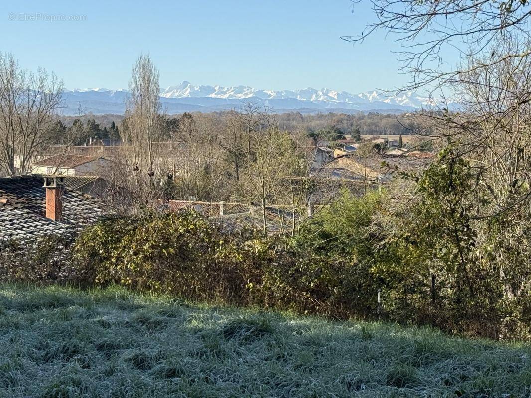 Terrain à BELPECH