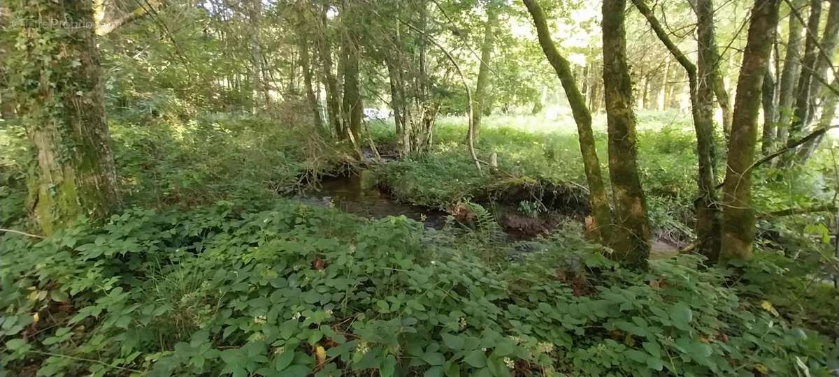 Terrain à SAINT-BRESSON