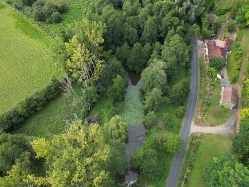 Terrain à LUCEAU