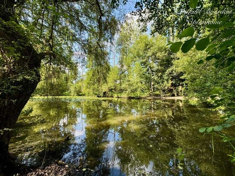 Terrain à LUCEAU