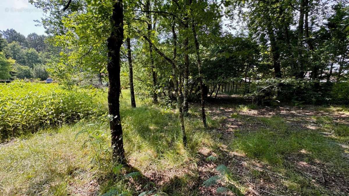 Terrain à LE TEMPLE