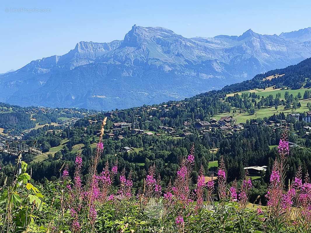 Maison à MEGEVE