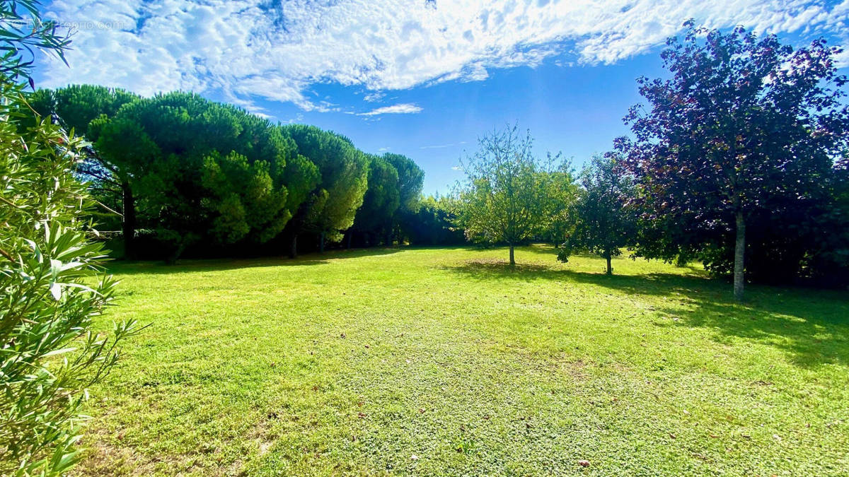 Terrain à SAINT-ROMAIN-DE-BENET