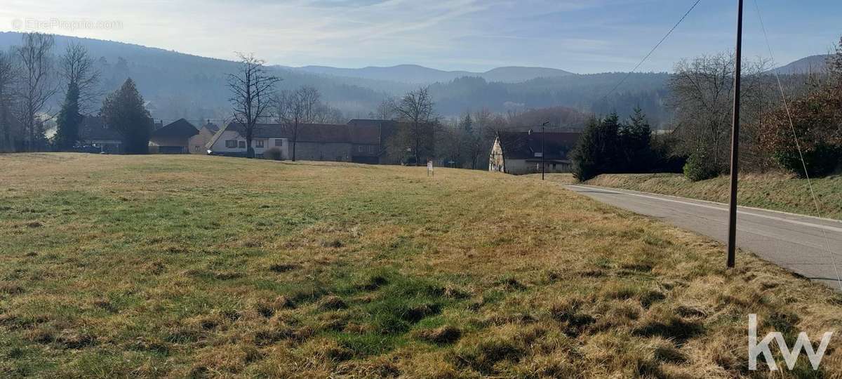 Terrain à BIRKENWALD