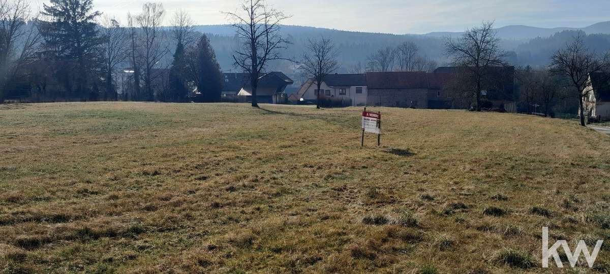 Terrain à BIRKENWALD