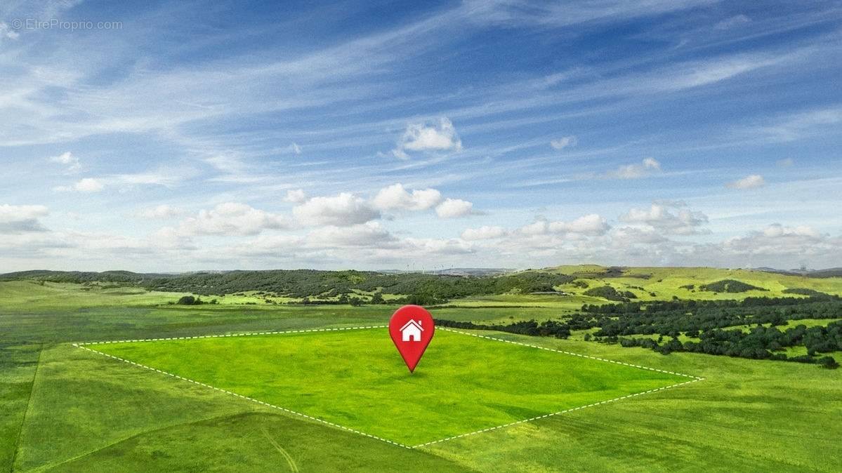 Terrain à PIENNES