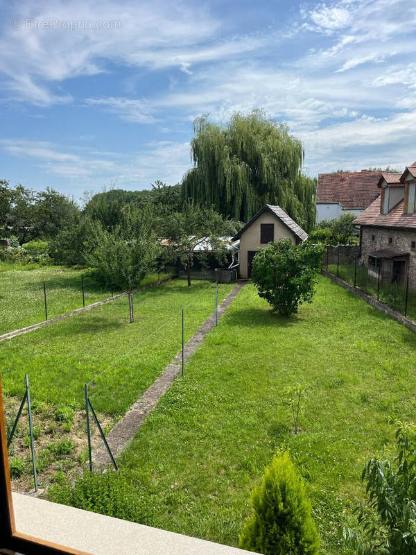 Maison à AVOLSHEIM