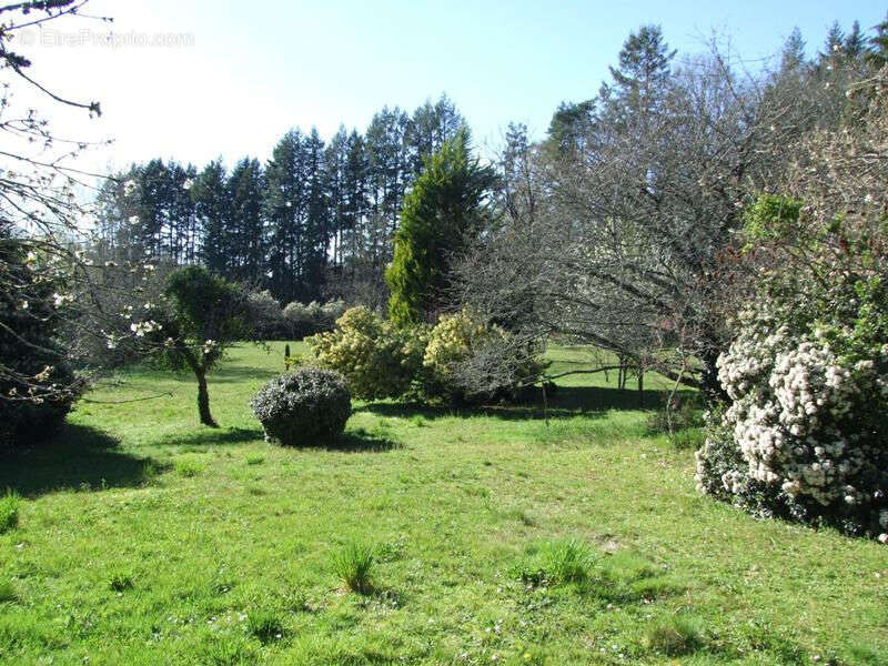 Maison à LA CHAPELLE-MONTBRANDEIX