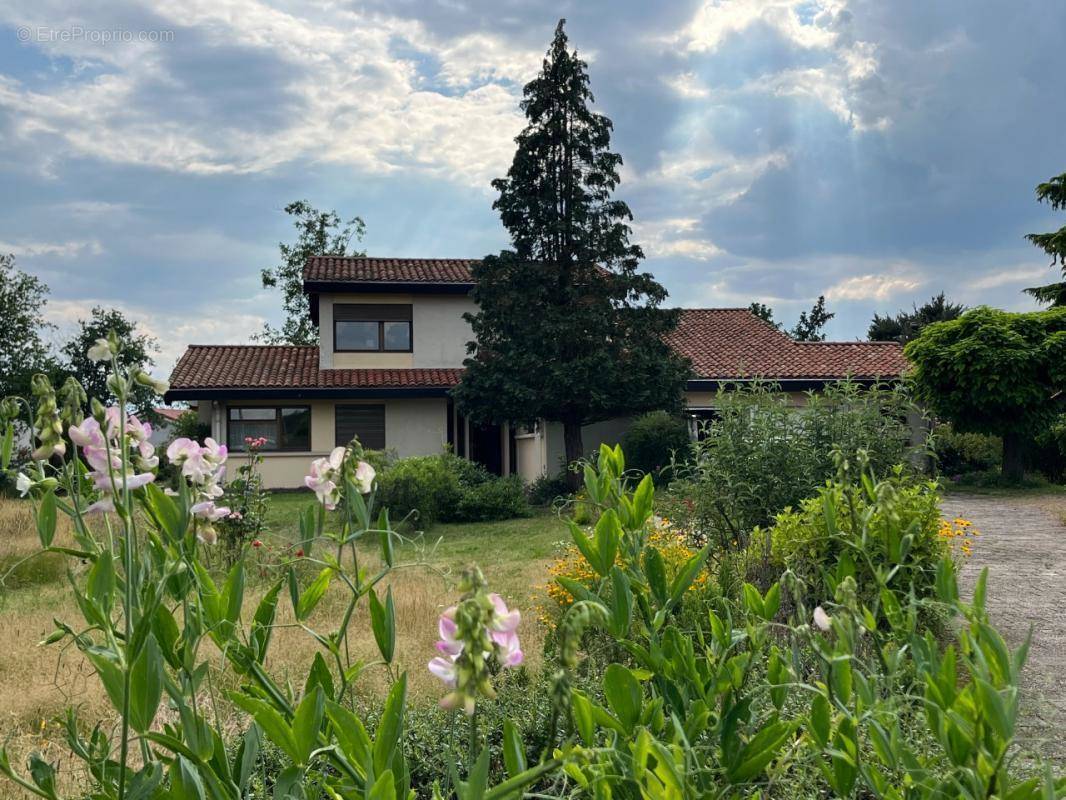 Maison à FEURS