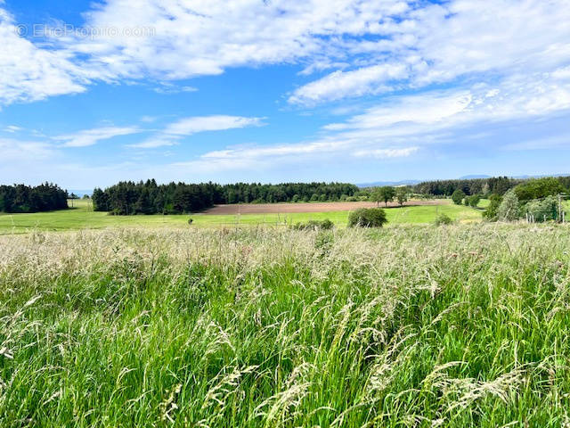 Terrain à SAINT-PIERRE-DU-CHAMP