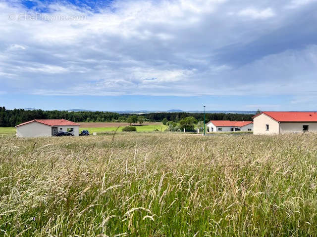 Terrain à SAINT-PIERRE-DU-CHAMP