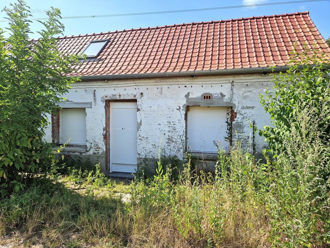 Maison à TEMPLEUVE