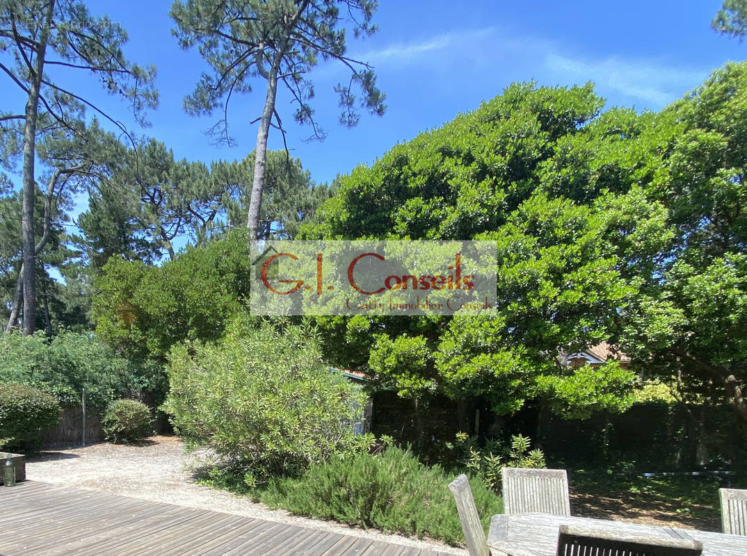 Maison à LEGE-CAP-FERRET