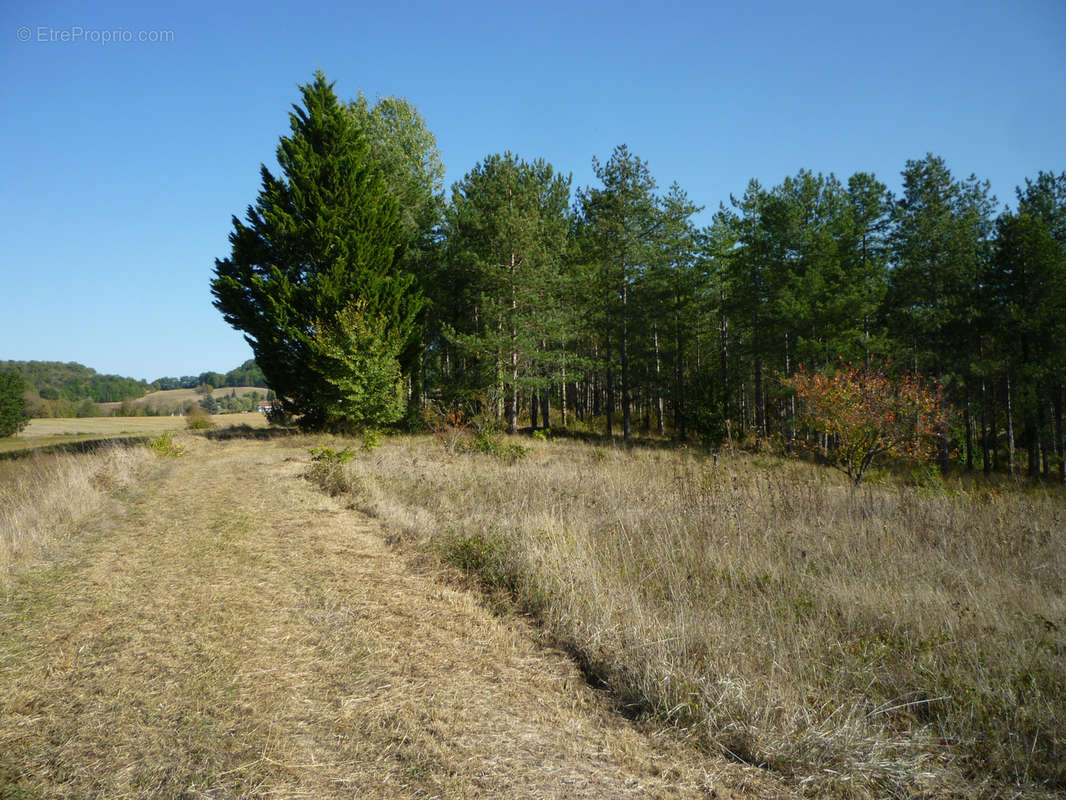 Terrain à BOURLENS