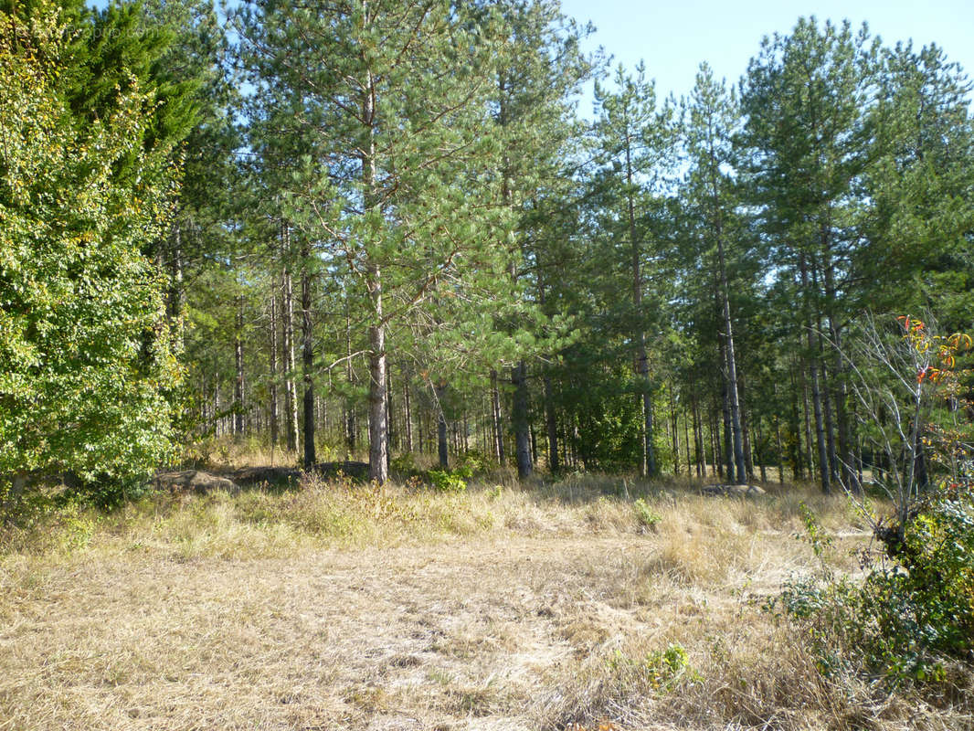 Terrain à BOURLENS