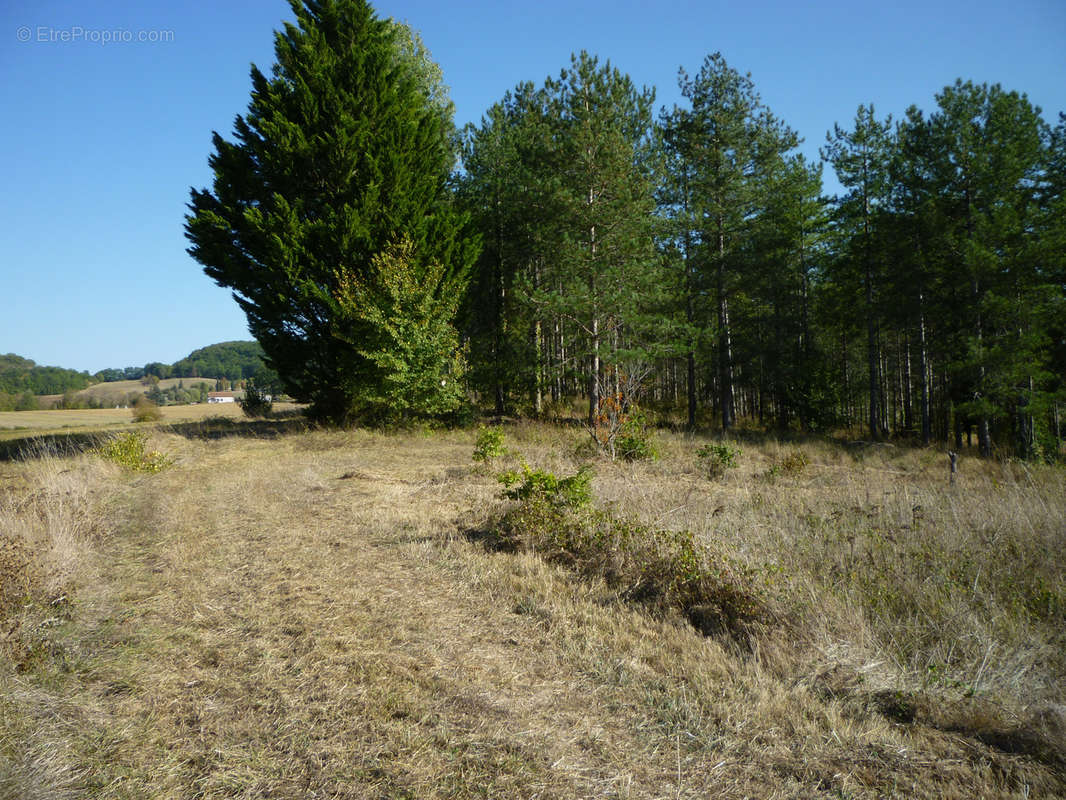 Terrain à BOURLENS