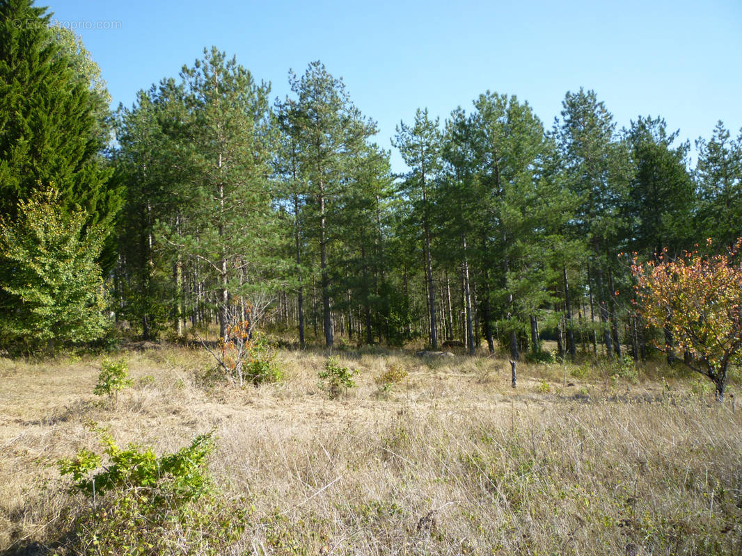 Terrain à BOURLENS