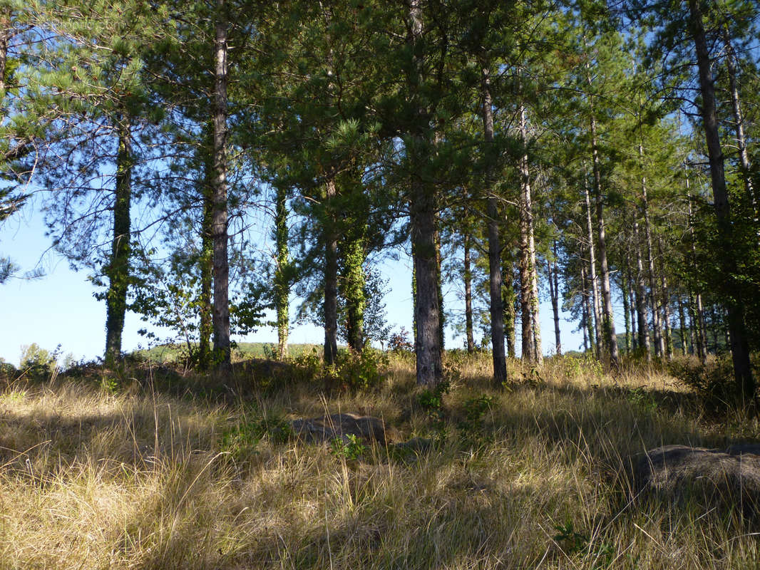 Terrain à BOURLENS