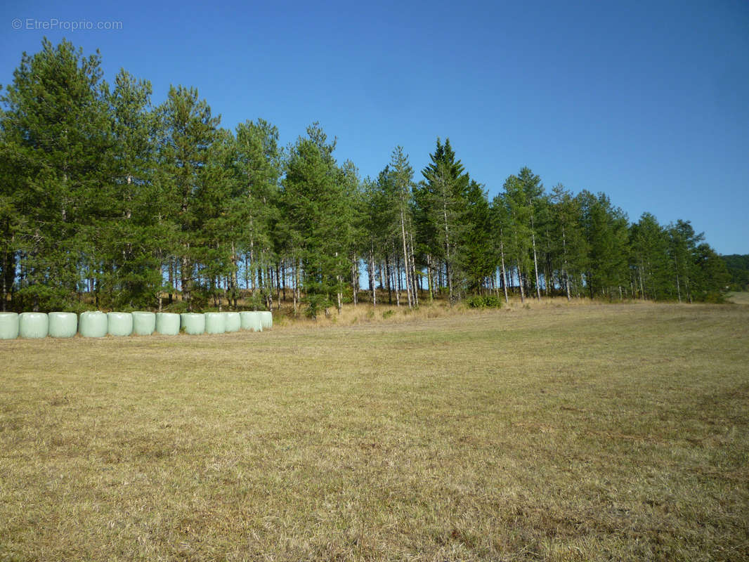 Terrain à BOURLENS