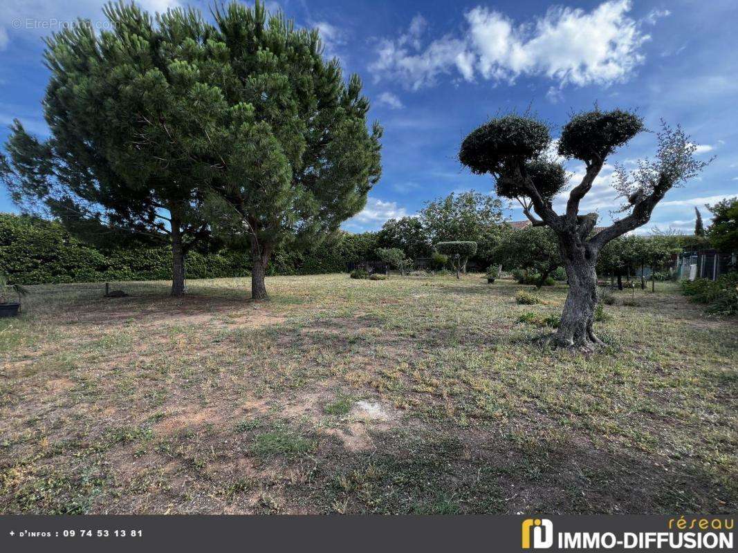 Terrain à MARSEILLAN