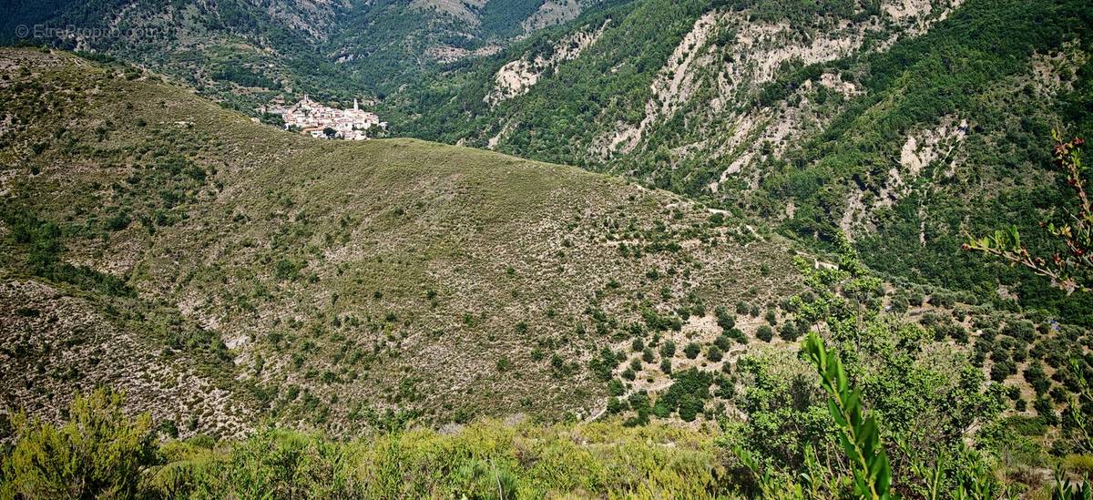 Terrain à LUCERAM