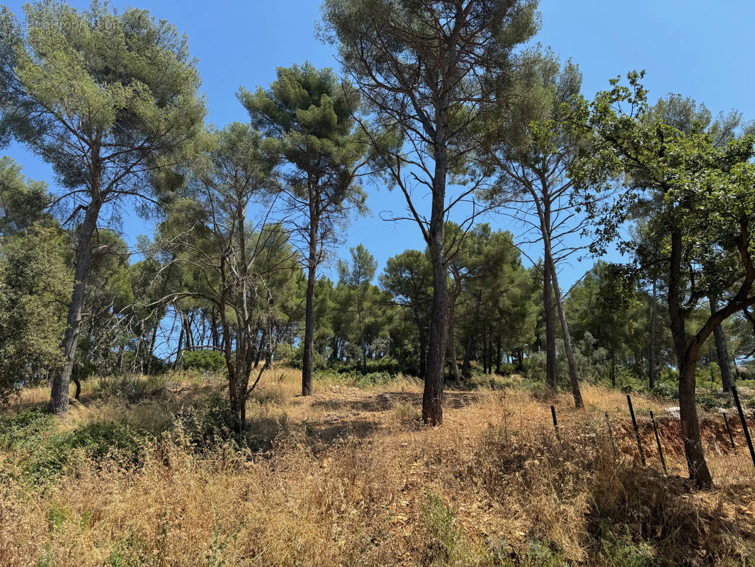 Terrain à OLLIOULES