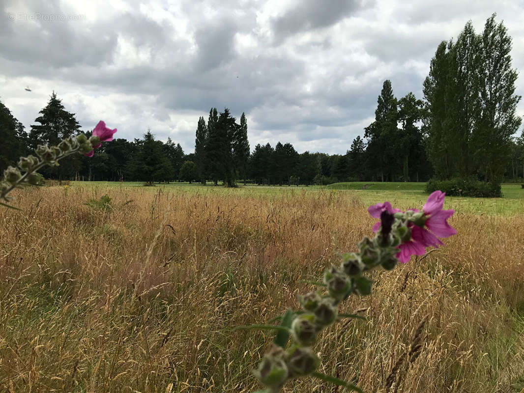 Terrain à EPINIAC