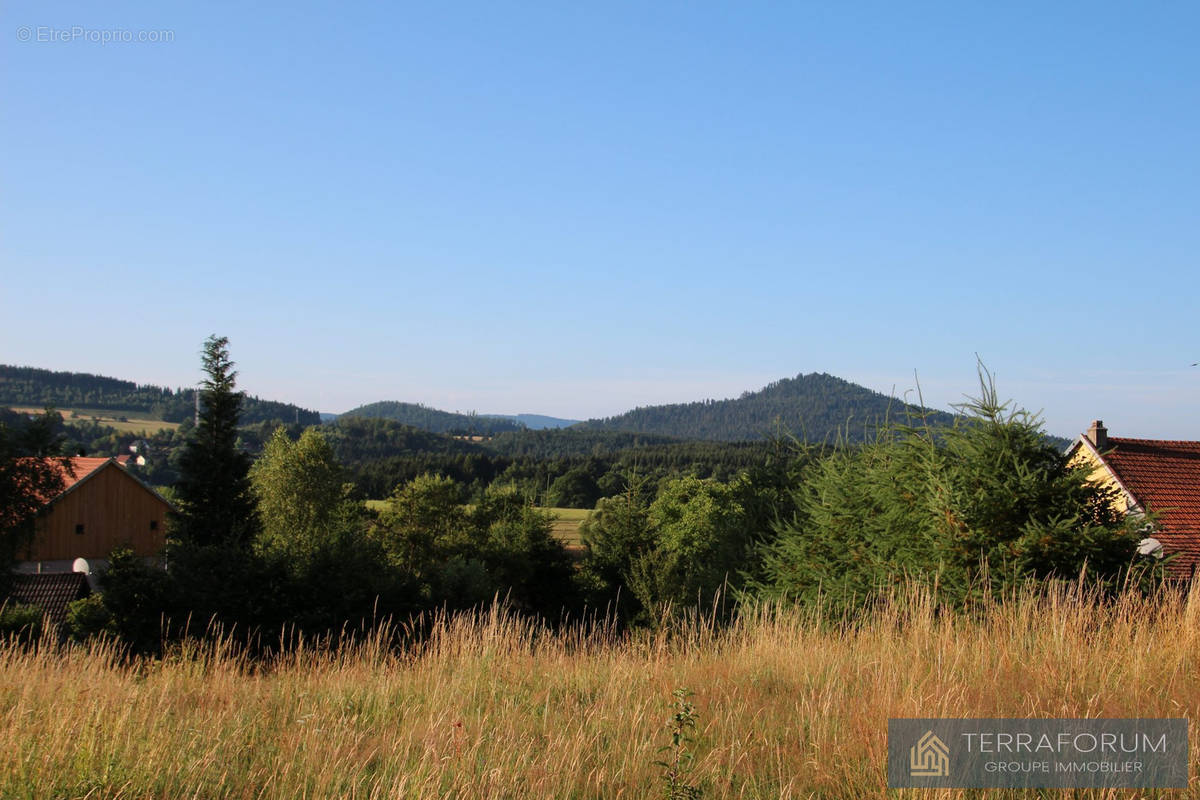 Terrain à BOURG-BRUCHE