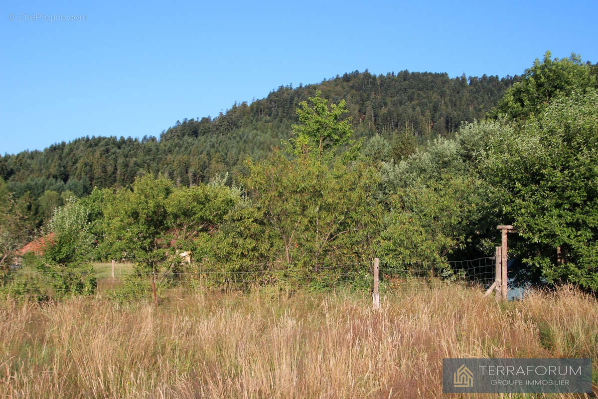 Terrain à BOURG-BRUCHE