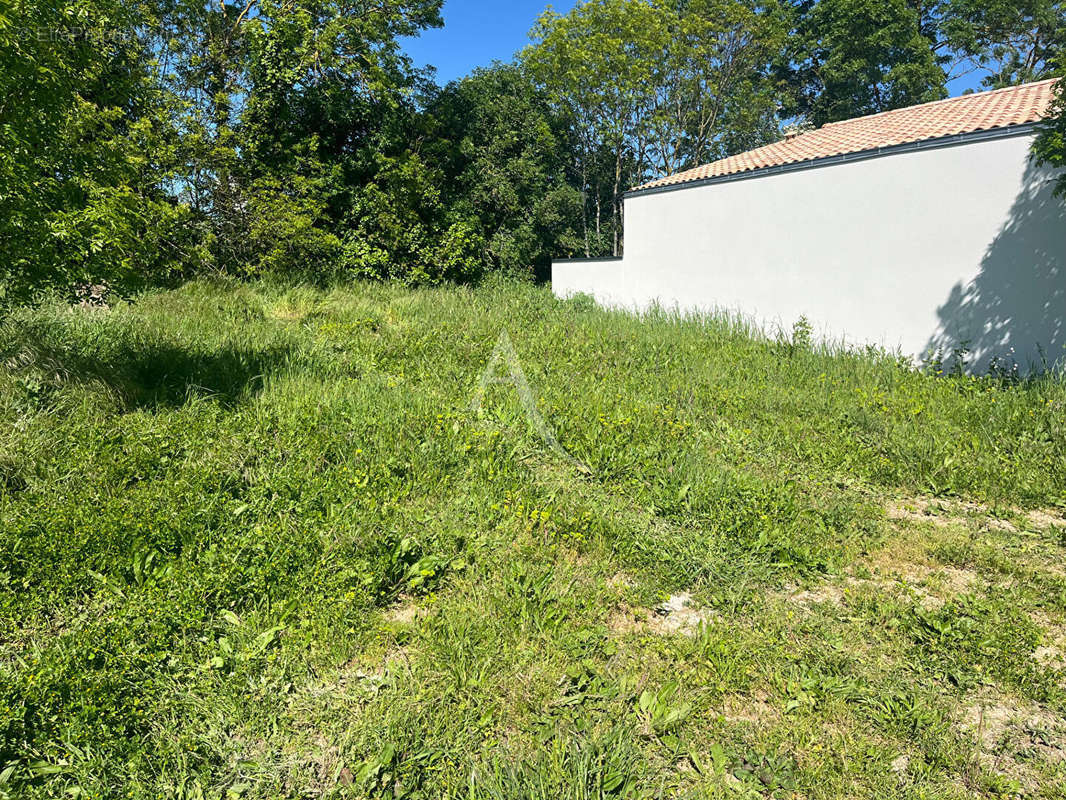 Terrain à SALLES-SUR-MER