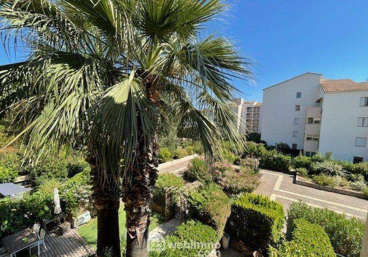 Vue de la Terrasse - Appartement à SAINTE-MAXIME