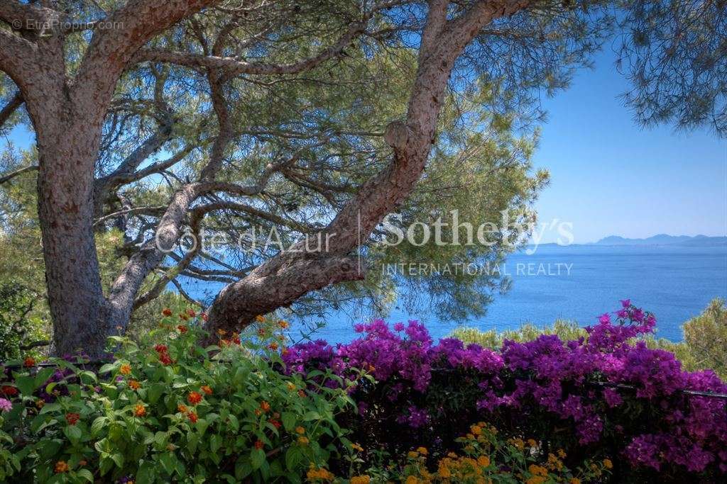 Maison à SAINT-JEAN-CAP-FERRAT