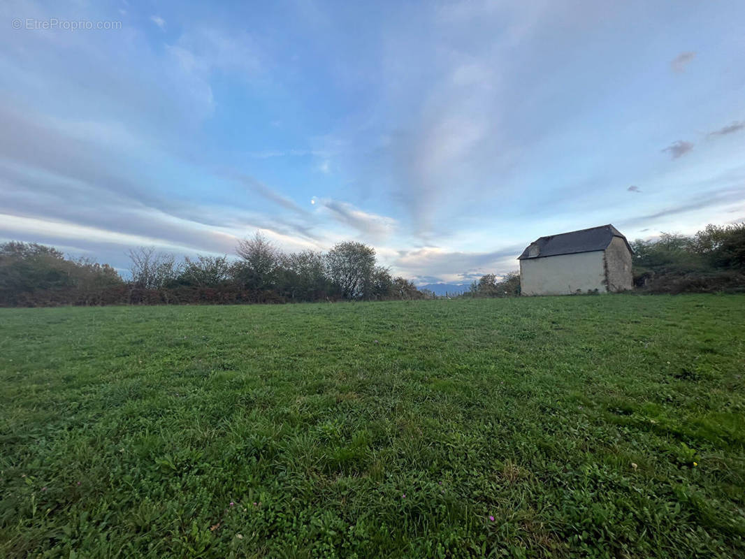 Terrain à LUCQ-DE-BEARN