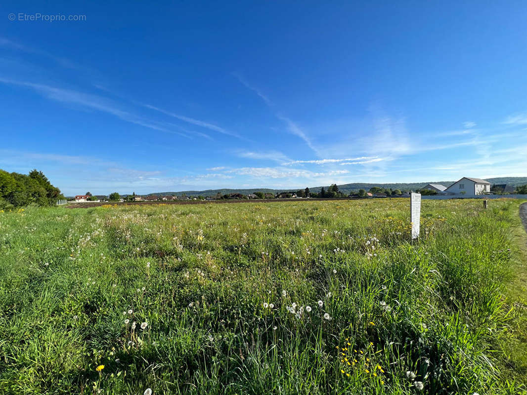 Terrain à BORDERES