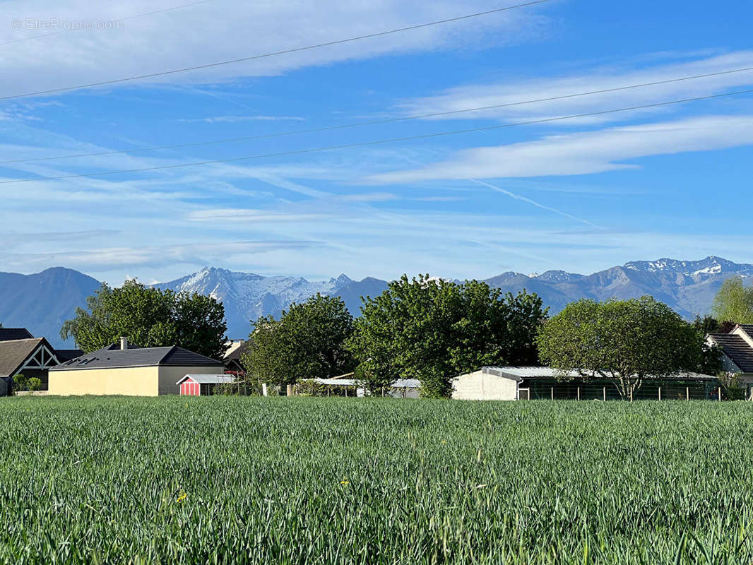 Terrain à BORDERES