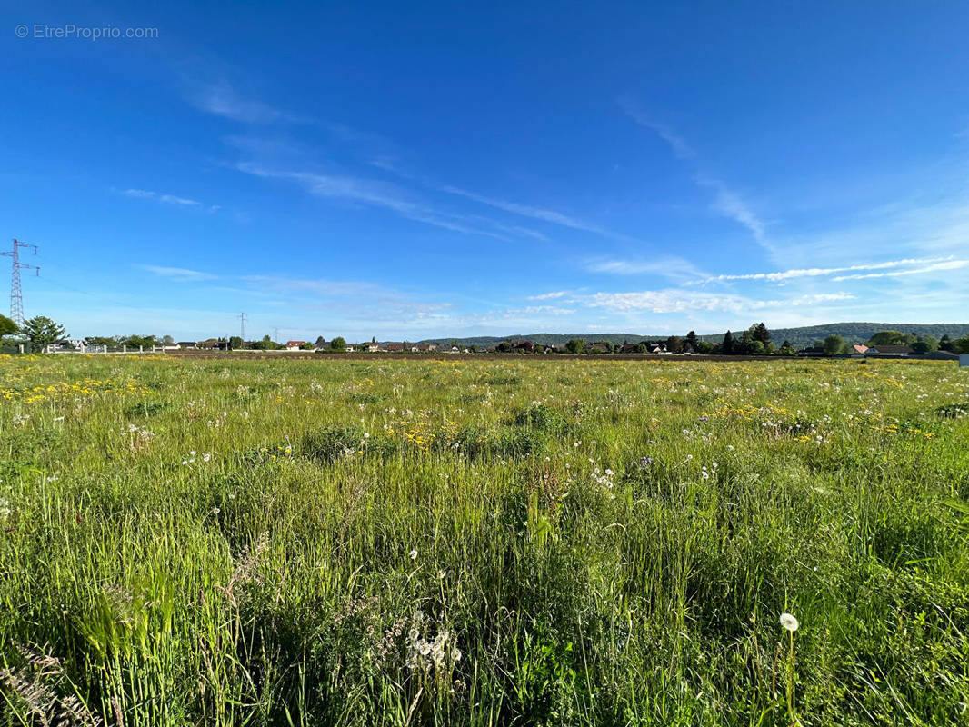 Terrain à BORDERES