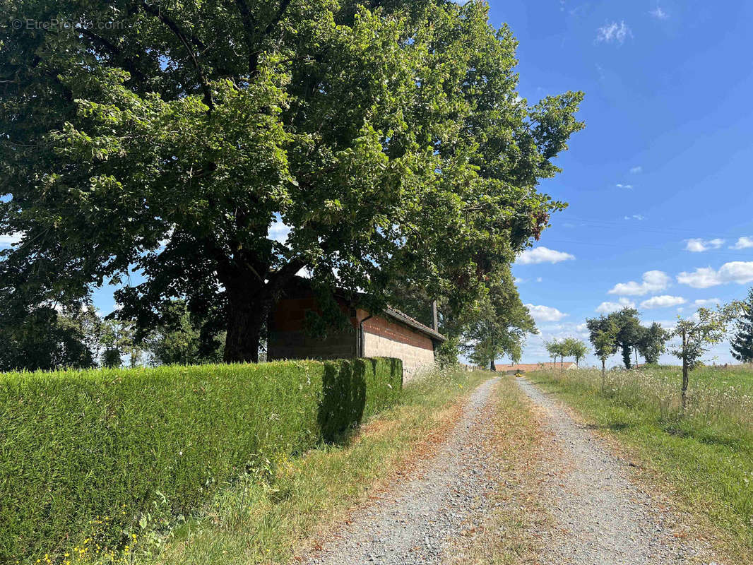 Maison à CHABANAIS