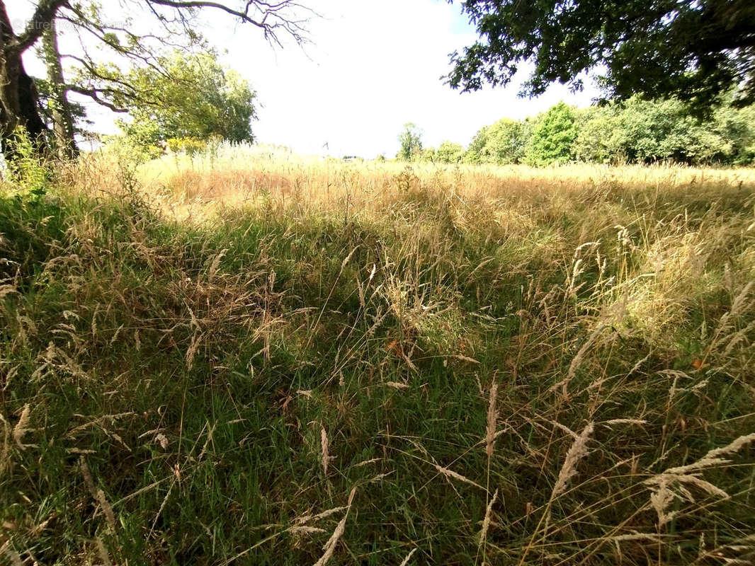 Terrain à SAINT-HILAIRE-DE-RIEZ