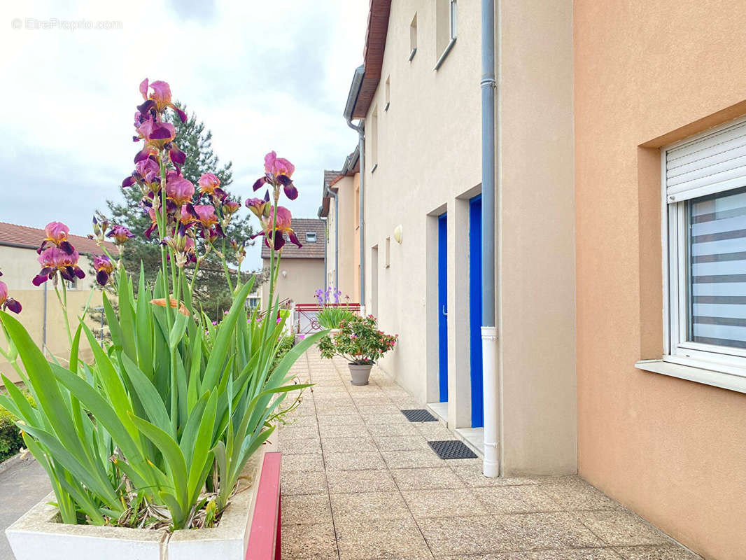 Appartement à SAINT-APOLLINAIRE