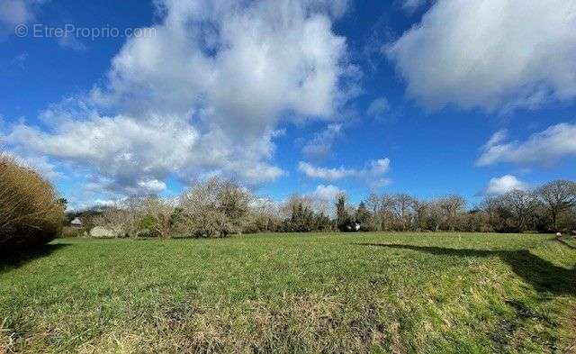 Terrain à QUIMPER