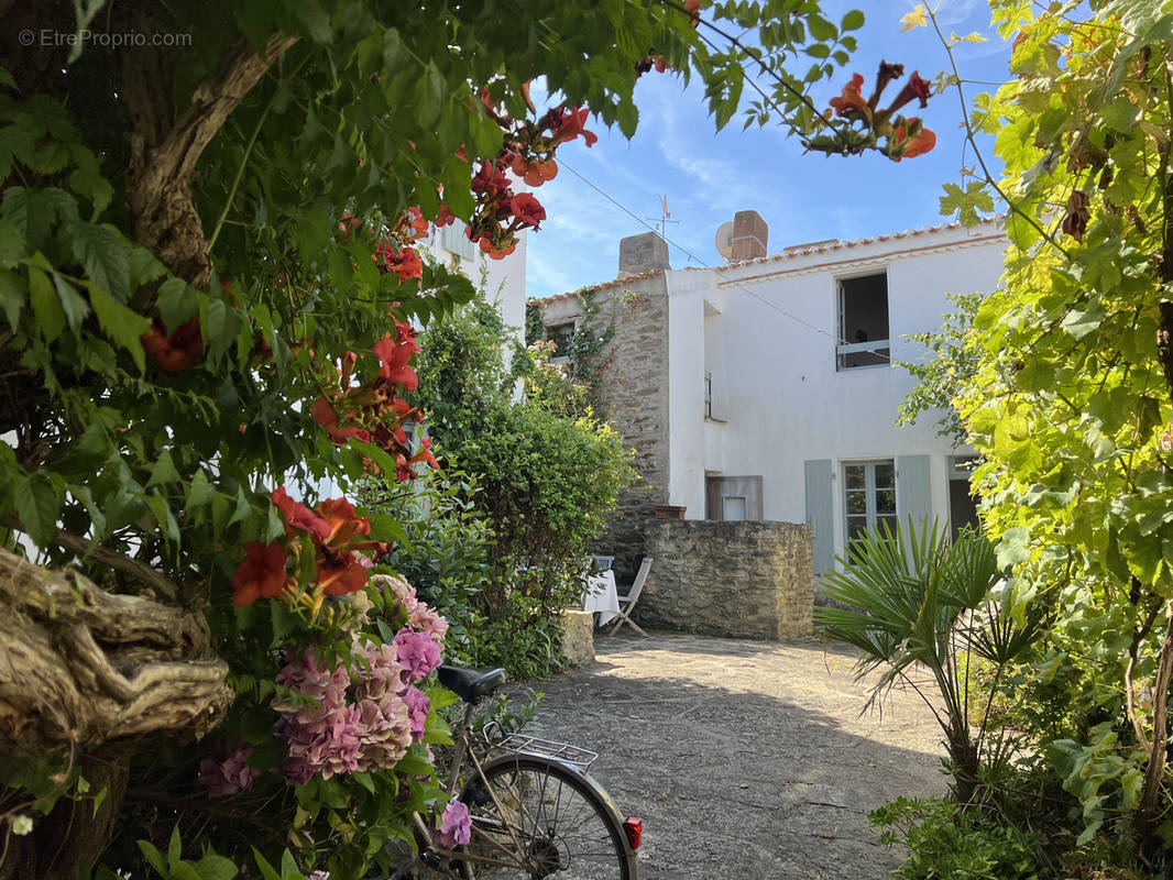 Maison à L&#039;ILE-D&#039;YEU