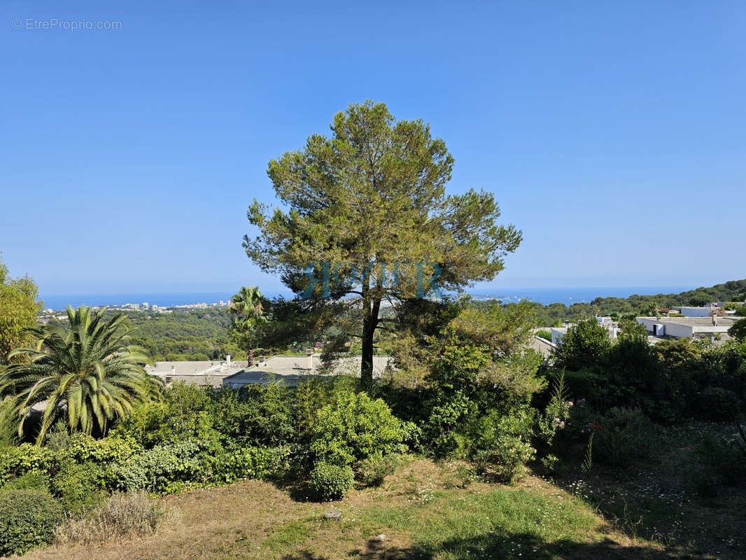 Appartement à VALLAURIS