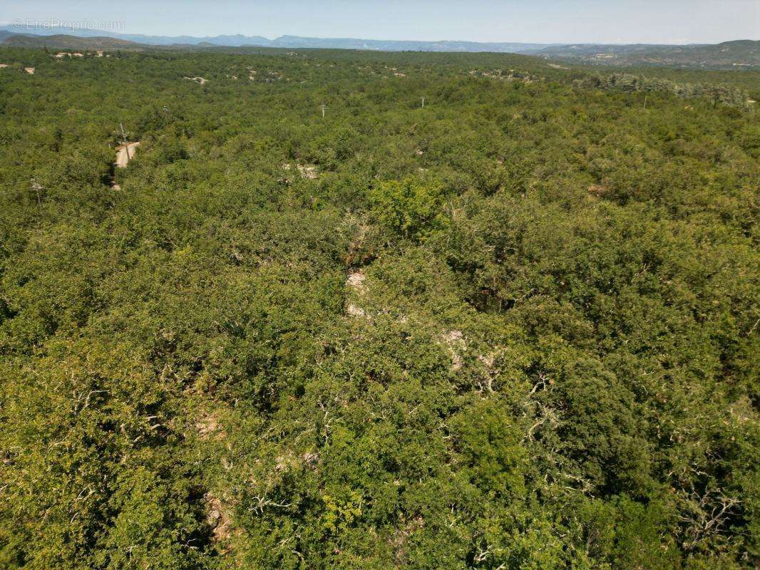 Terrain à RUOMS