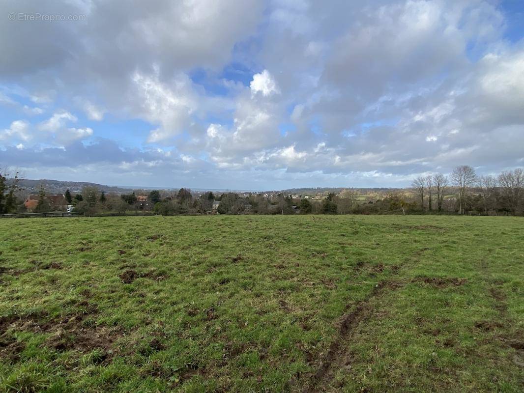 Terrain à SAINT-ARNOULT