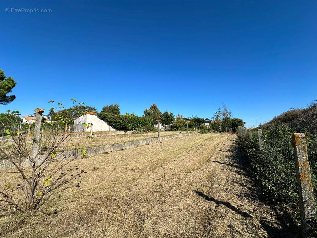 Terrain à VAUX-SUR-MER