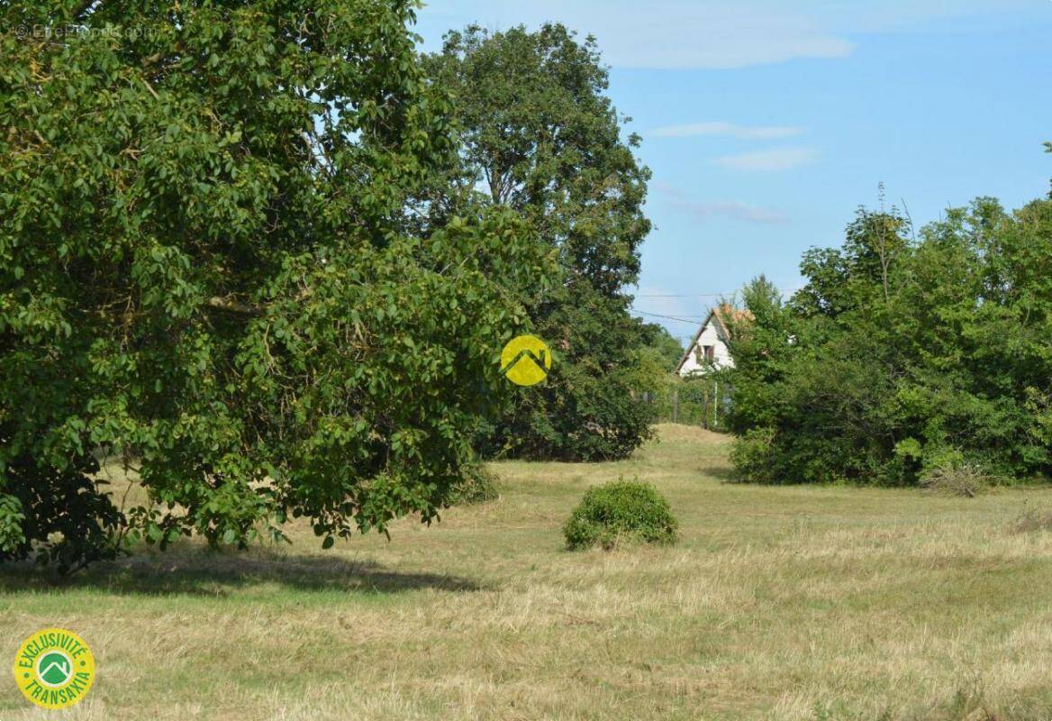 Terrain à LUNERY