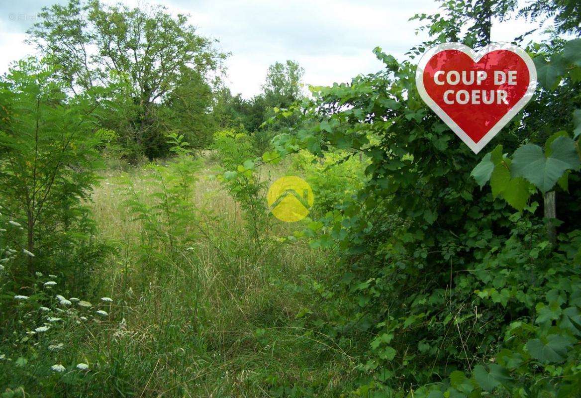 Terrain à BOURGES